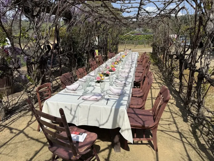 Banquet table among the vines with petite blossom arrangements spaced between simple settings