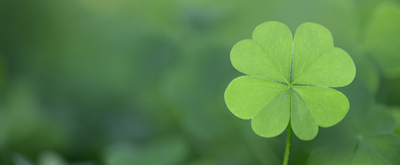 Four leaf clover with green background for Saint Patrick's catering